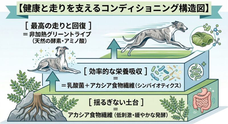 「健康と走りを支えるコンディショニング構造図」