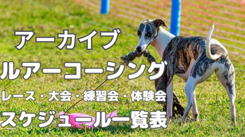 ルアーコーシング大会・練習会・体験会アーカイブ