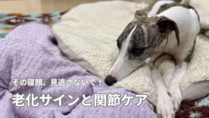 その寝顔、見逃さないで！老化サインと関節ケア