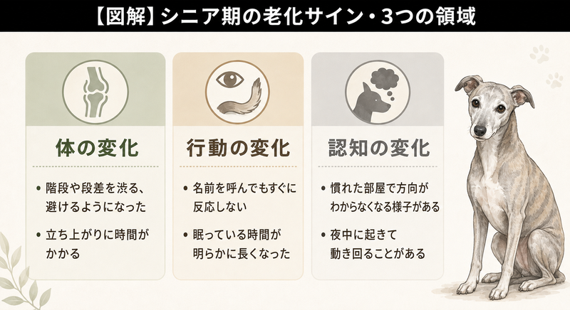 シニア期の老化サインを体・行動・認知の3つの領域に分類した図解