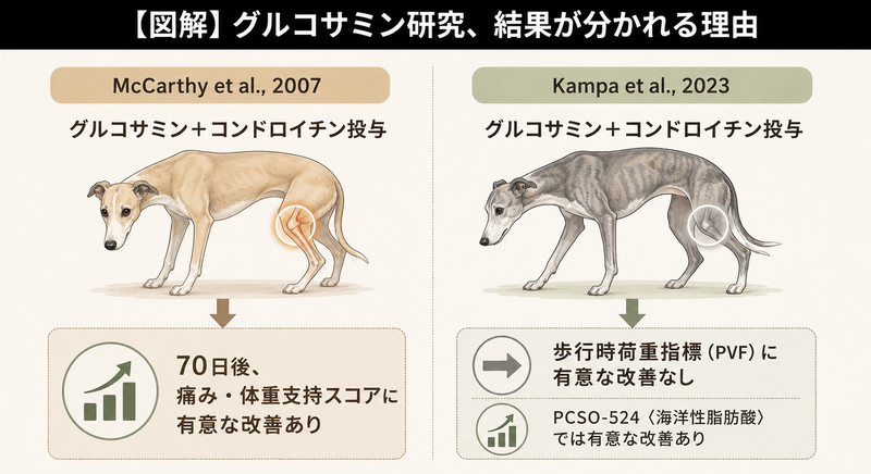 グルコサミン研究の結果が分かれる理由を比較した図解