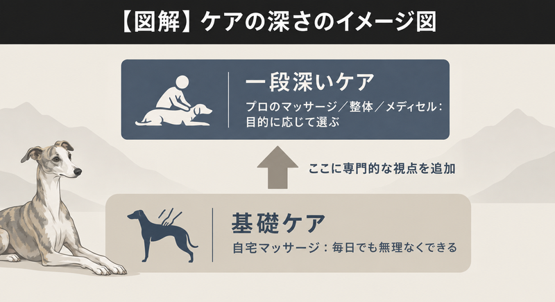 ケアの深さのイメージ図（基礎ケアと一段深いケアの関係を示す図解）