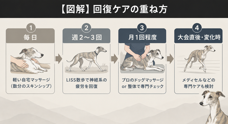 回復ケアの重ね方（毎日・週2〜3回・月1回程度・大会直後の頻度別ケア図解）