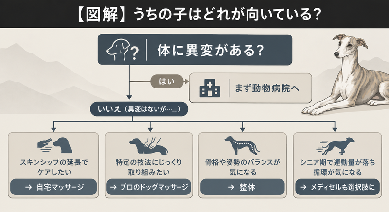 うちの子はどれが向いている？（体の異変有無とケアの選び方を示すフローチャート）