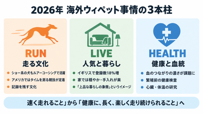 2026年 海外ウィペット事情の3本柱(RUN=走る文化/LIVE=人気と暮らし/HEALTH=健康と血統)の図解